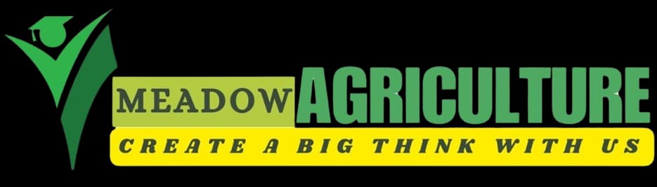 Medicinal Uses of Honey and Other Bee  Products